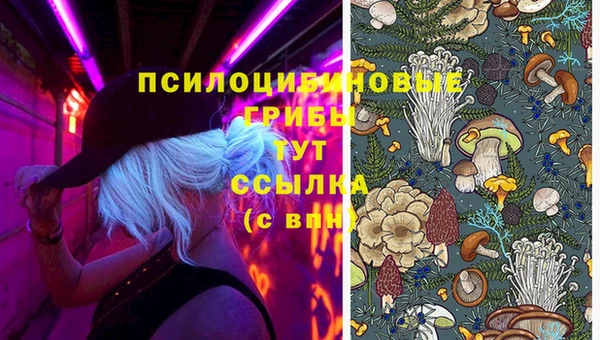 MDMA Белокуриха