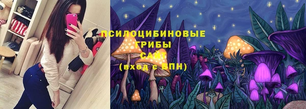 MDMA Белокуриха