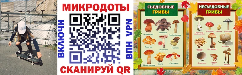 кракен ТОР Курганинск Галлюциногенные грибы GOLDEN TEACHER купить наркотики сайты